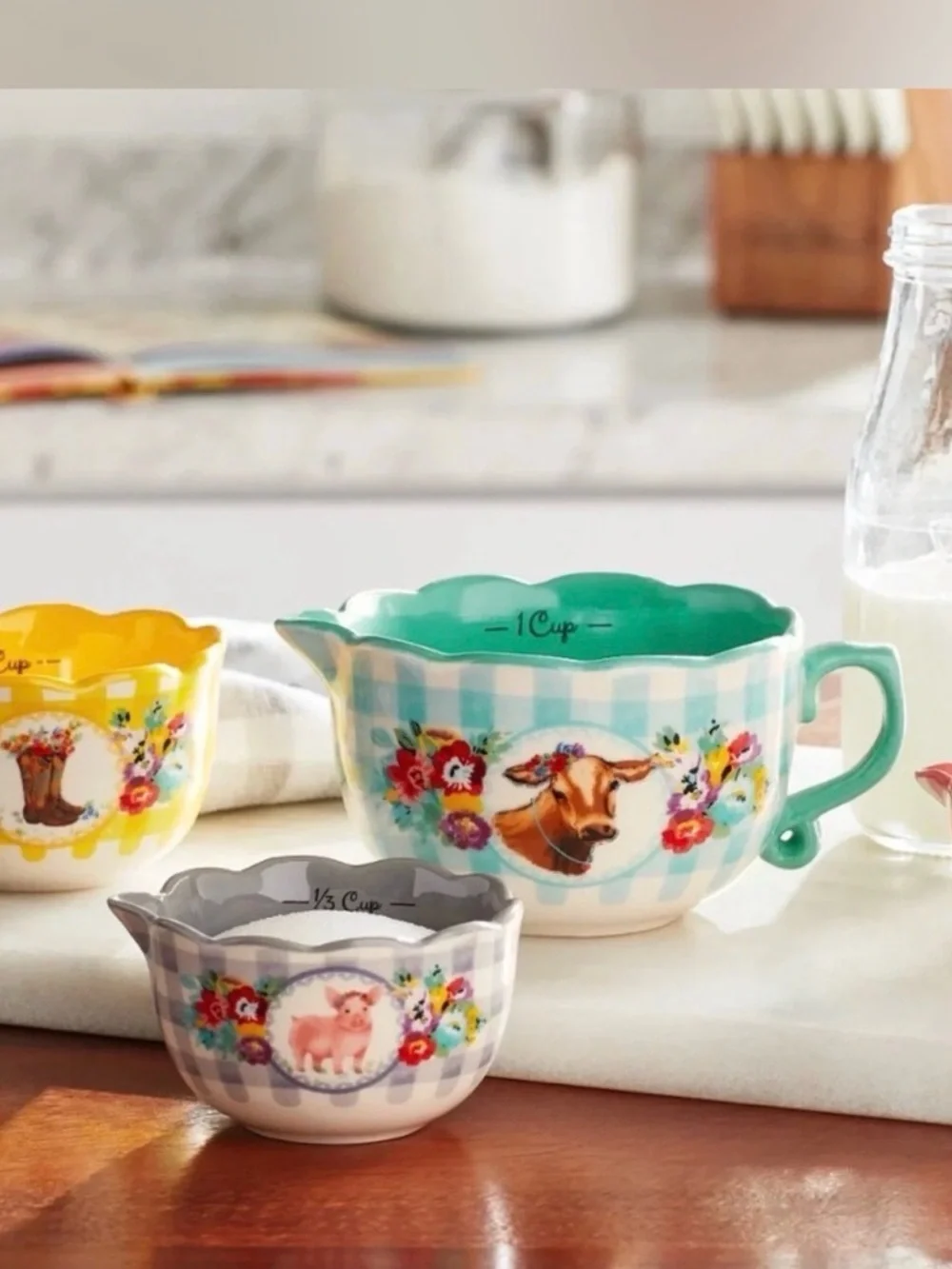 Pioneer Woman Gingham Sweet Romance Measuring Cup Set